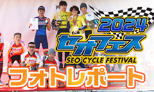 セオフェス